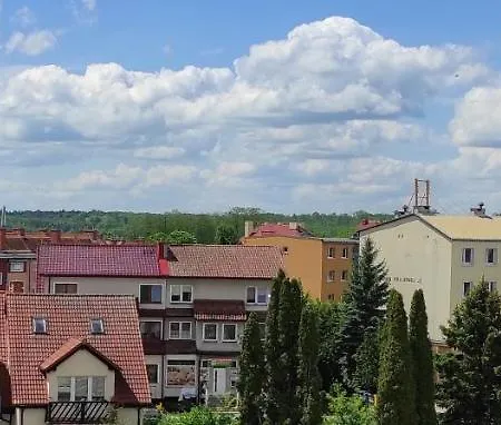 View 20 *